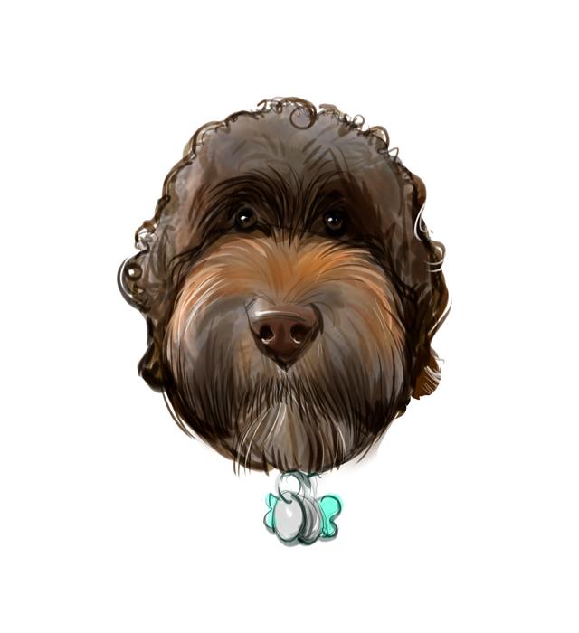 Washington DC Caricature Artists