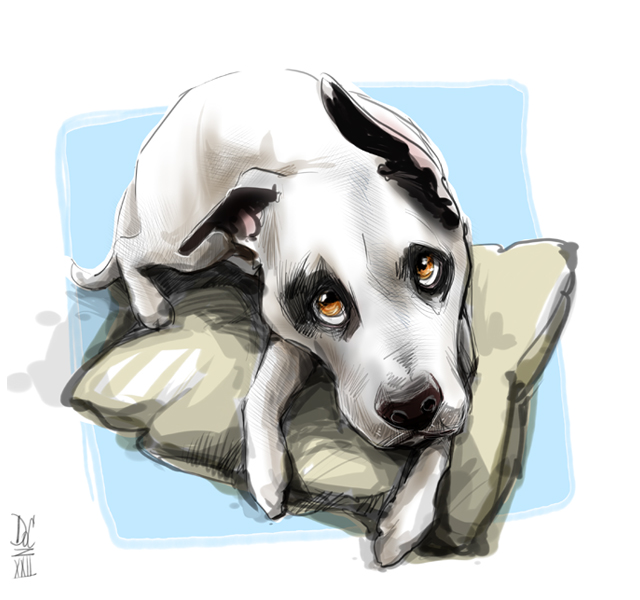 Washington DC Caricature Artists