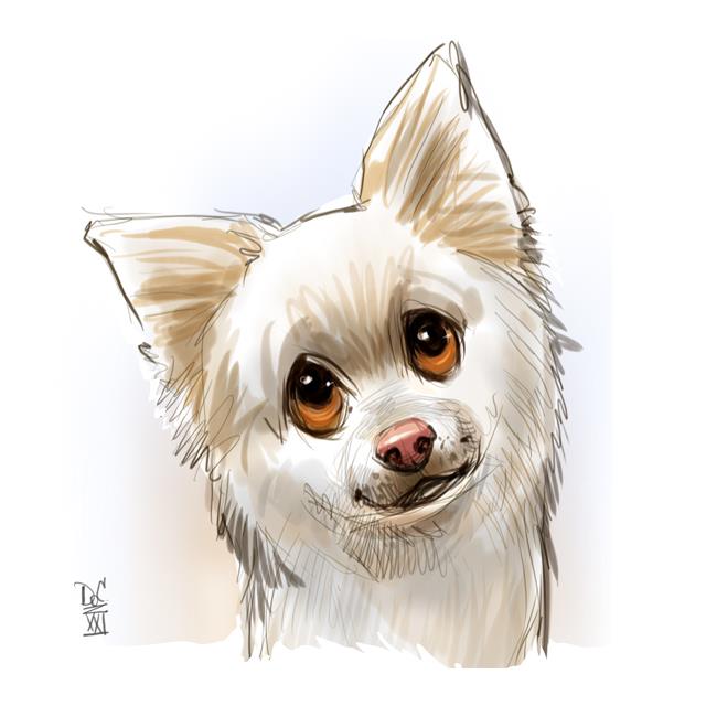 Washington DC Caricature Artists